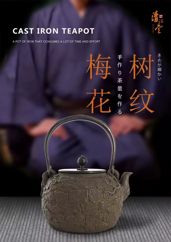 Iron Kettle Uncoated Cast Iron Teapot Japanese Kung Fu Tea Set Tea Infuser